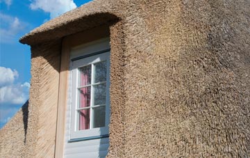 Glen Anne thatch roof disadvantages